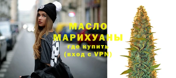 индика Тутаев