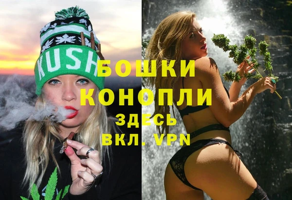 индика Тутаев