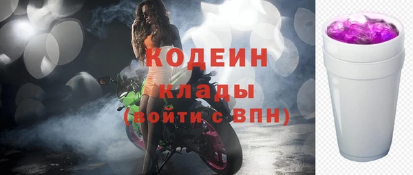 твердый Тында