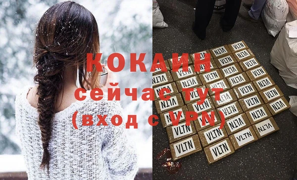 индика Тутаев