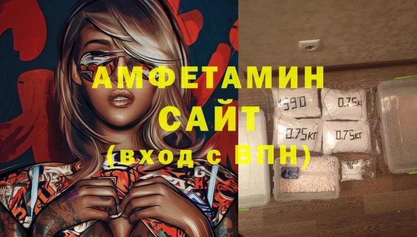 индика Тутаев