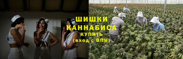 дурь Таштагол