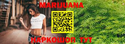 гашик Аргун