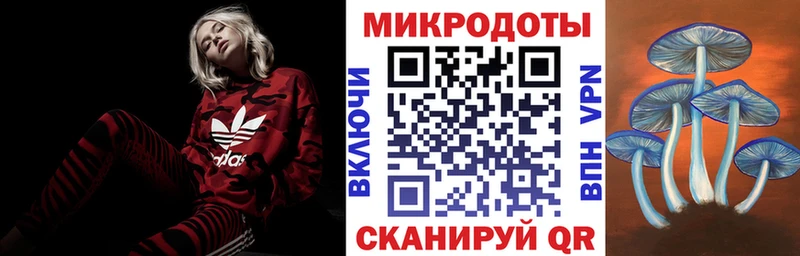 магазин    Владикавказ  Псилоцибиновые грибы мицелий 