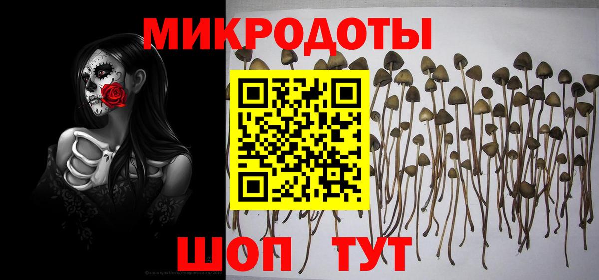 Галлюциногенные грибы Cubensis  Владикавказ 