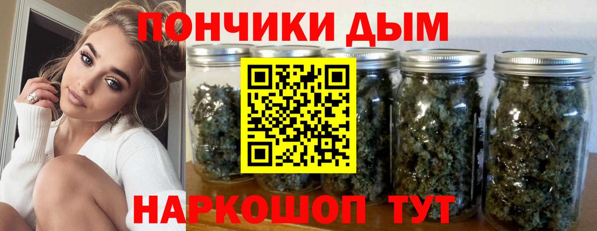 Каннабис сатива Владикавказ